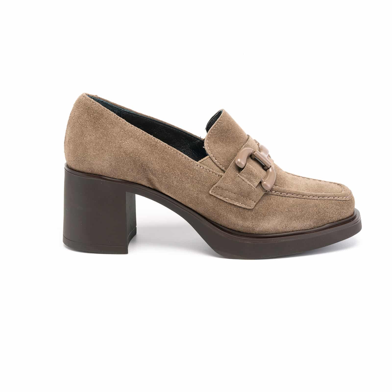 Lince-invierno-2024-41