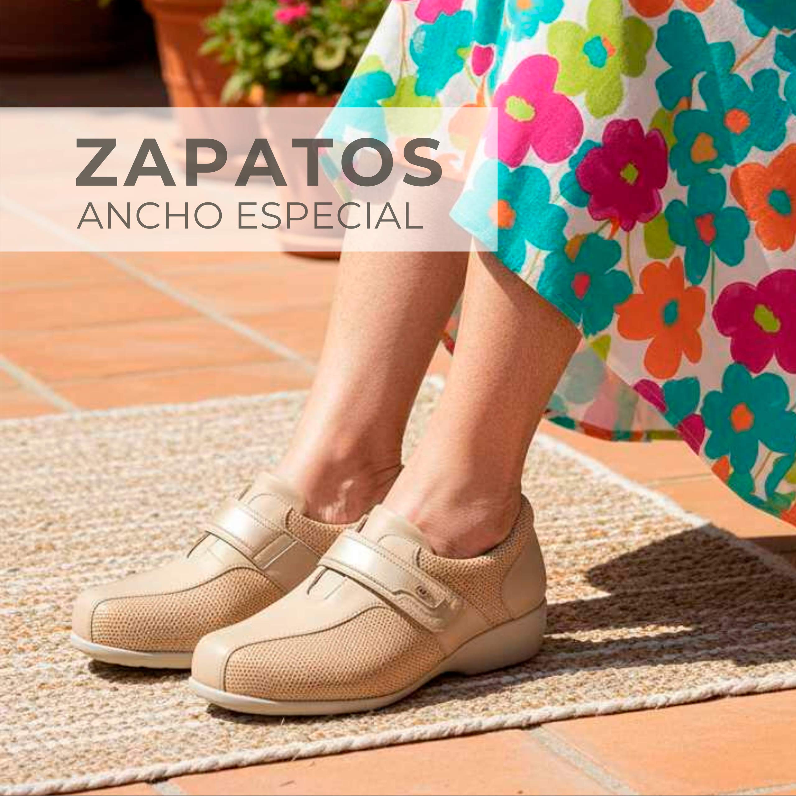 Imagen de categoría 2