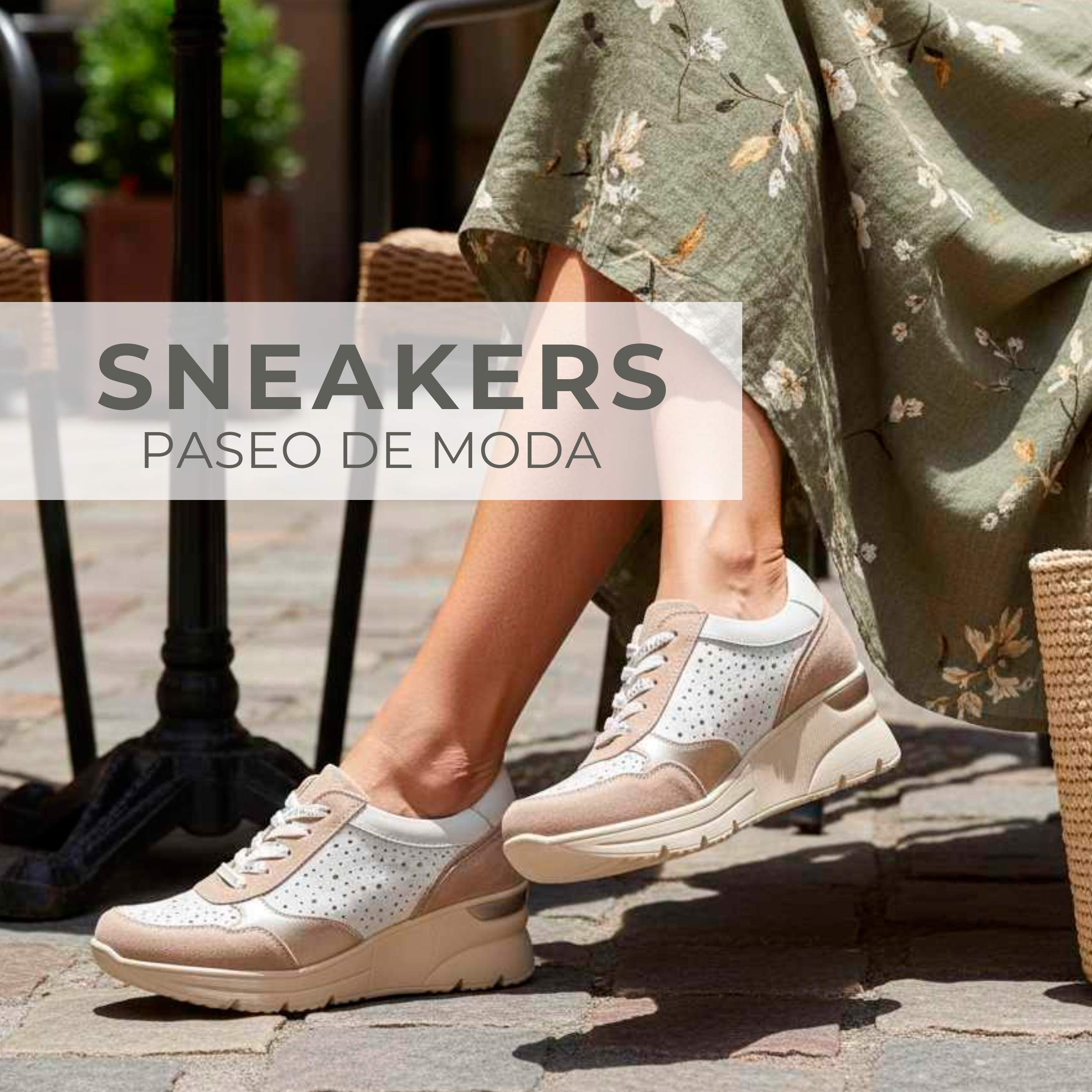 Imagen de categoría 1